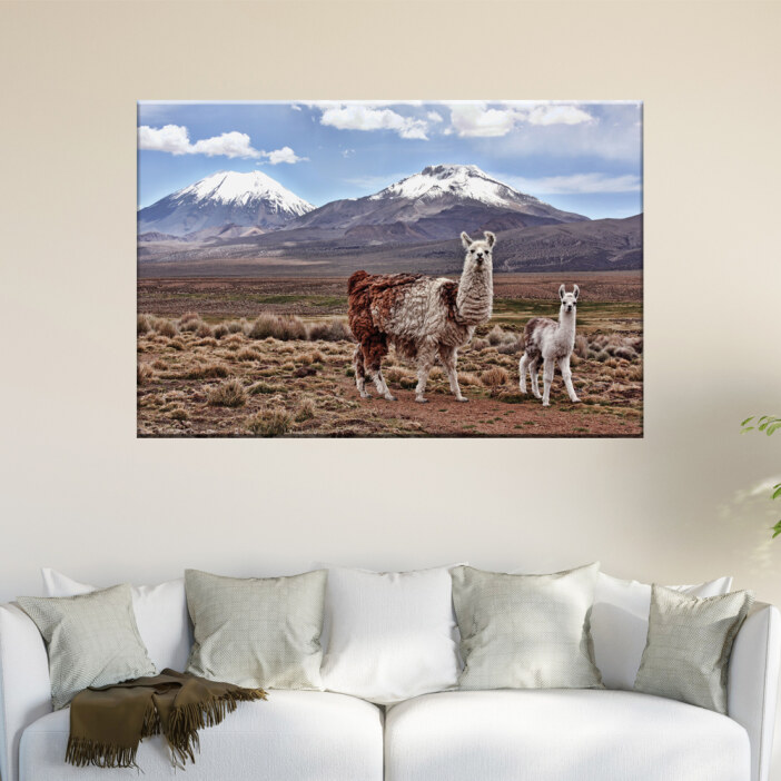 Tableau maman lama et son petit en Bolivie