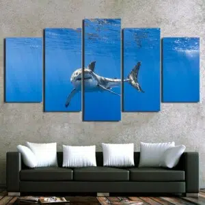 Tableau requin observateur à la surface. Bonne qualité, original, accrochée sur un mur au dessus d'un canapé dans un salon