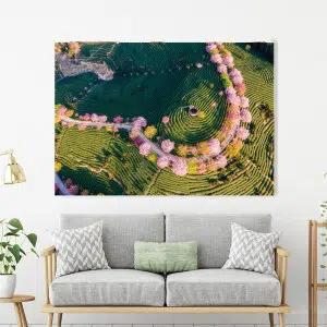 Tableau Chine vue aérienne d'un jardin à thé traditionnel et cerisiers en fleurs. Bonne qualité, original, accrochée sur un mur au dessus d'un canapé dans un salon