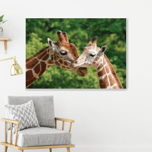 Tableau Câlin deux girafes. Bonne qualité, original, accrochée sur un mur au dessus d'une chaises dans un salon