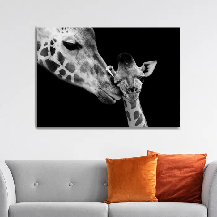 Tableau Girafe et son girafon. Bonne qualité, original, accrochée sur un mur au dessus d'un canapé dans une maison