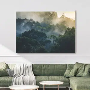 Tableau Jungle vue de haut par temps gris. Bonne qualité, original, accrochée sur un mur au dessus d'un canapé dans une maison