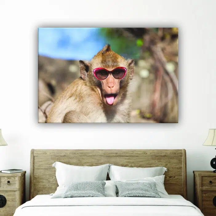 Tableau singe avec lunettes. Bonne qualité, original, accrochée sur un mur au dessus d'un lit dans une maison