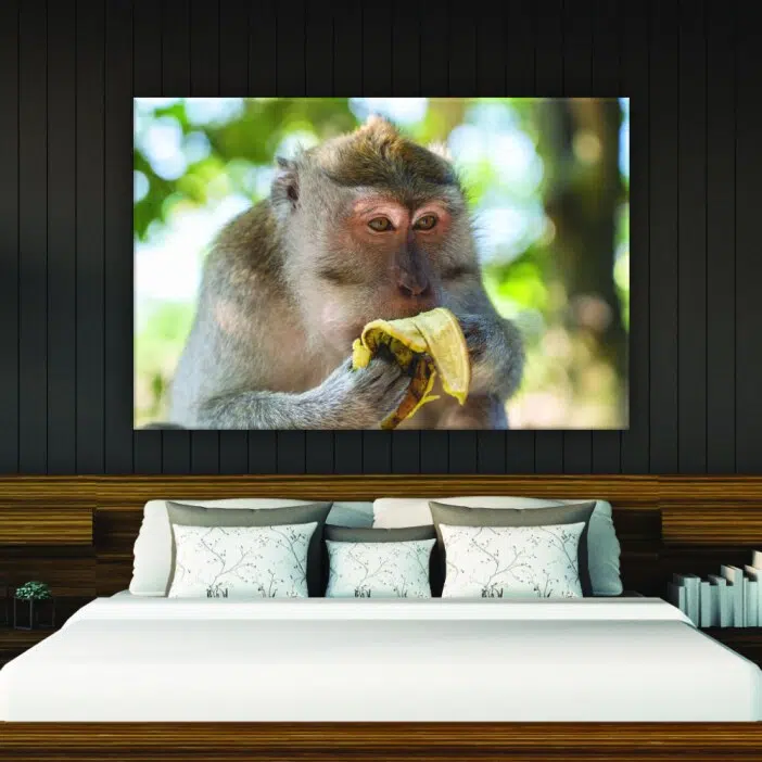 Tableau singe mangeant une banane