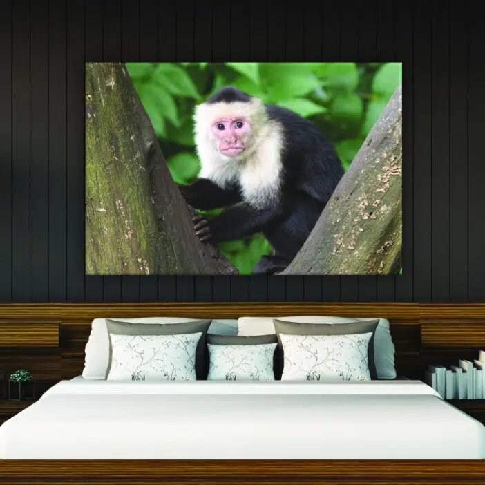 Tableau singe noir et blanc. Bonne qualité, original, accrochée sur un mur au dessus d'un lit dans une maison