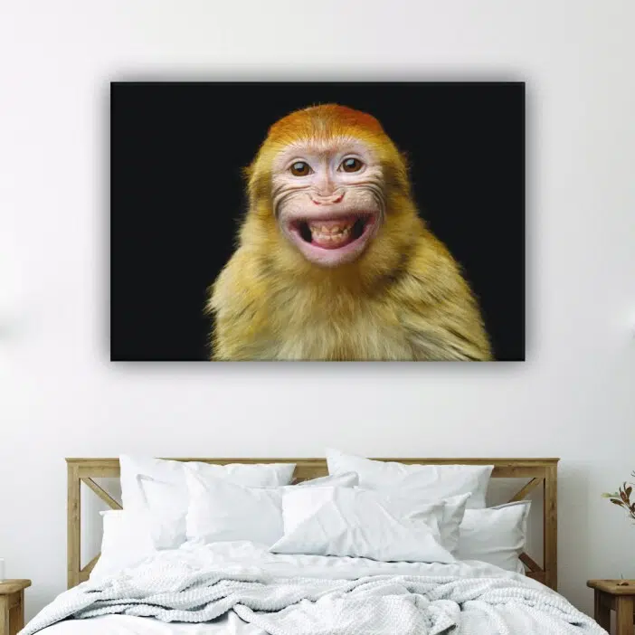 Tableau singe souriant. Bonne qualité, original, accrochée sur un mur au-dessus d'un lit dans une maison
