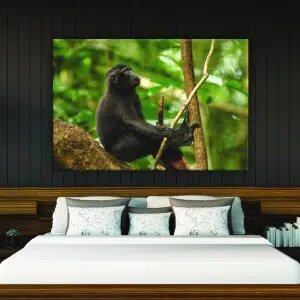 Tableau singe sur un arbre. Bonne qualité, original, accrochée sur un mur au dessus d'un lit dans une maison