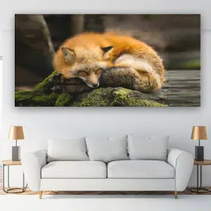 Tableau renard endormi sur le mur d'un salon au-dessus d'un canapé gris